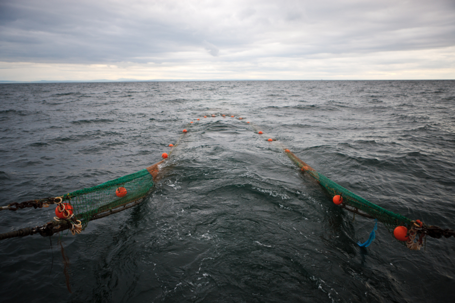 Overfishing in the darkness – transparency in the EU Council