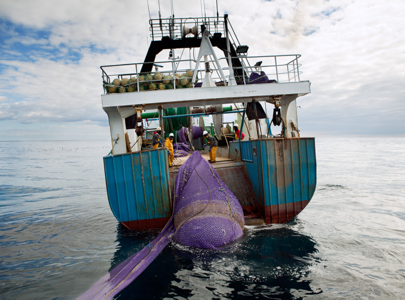 Overfishing in the Darkness