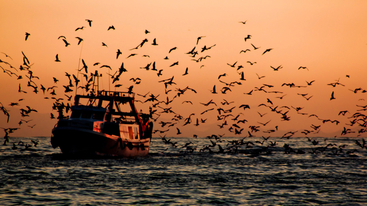 Catch 22: How can we make Council negotiations on fishing quotas more transparent?