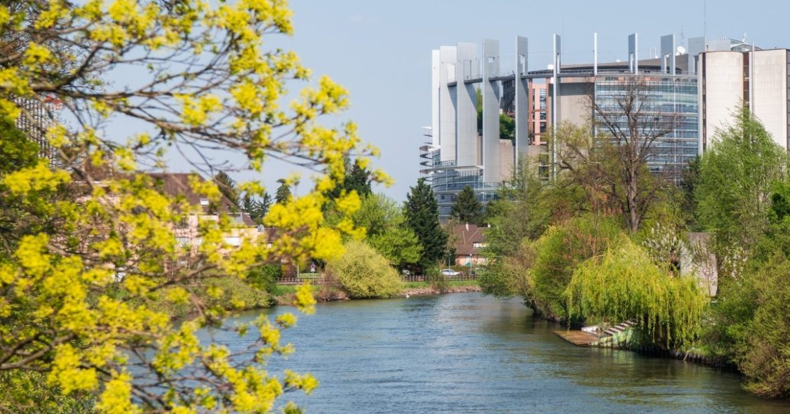 European Parliament must take action on MEP allowances