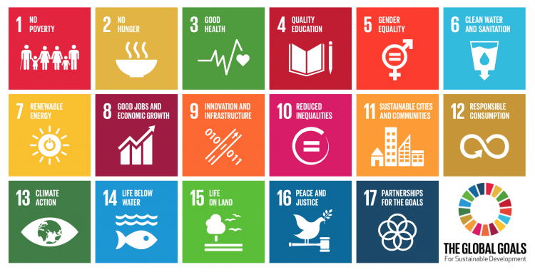 The 17 SDGs via UNDP