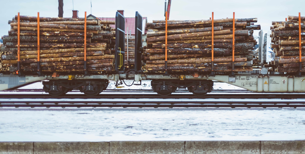 Tackling Corruption to Protect the World’s Forests: How the EU Can Rise to the Challenge