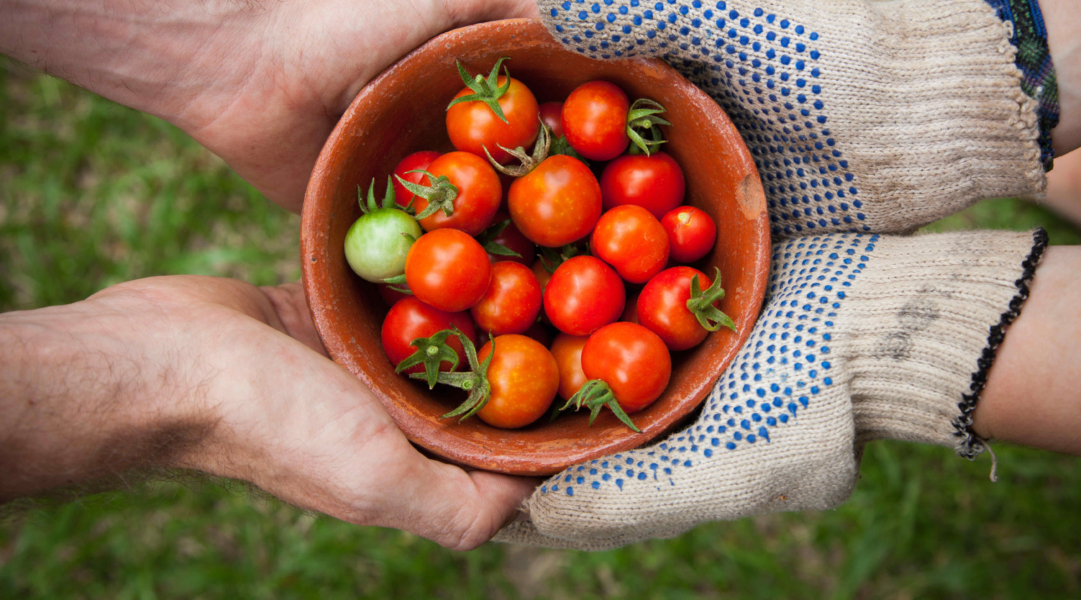 EU – Stop Supporting the New Alliance for Food Security and Nutrition