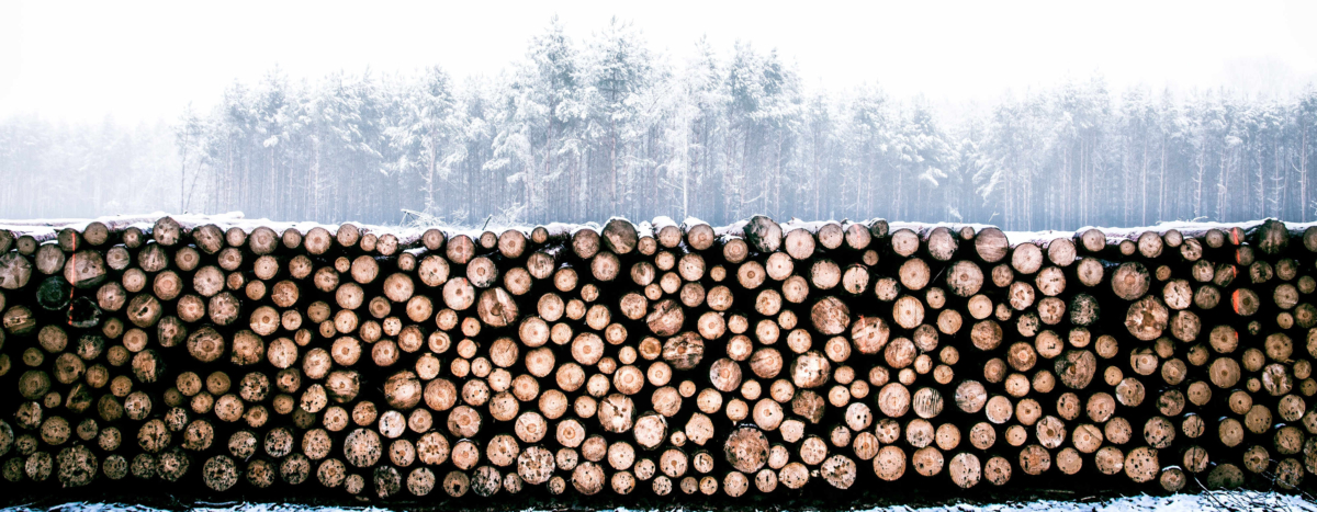 Tackling Illegal Logging, Deforestation, & Forest degradation: an Agenda for EU Action