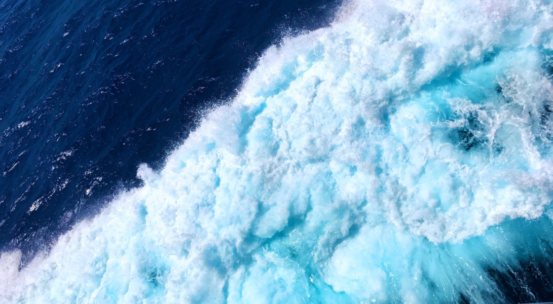 The EU’s reaction to the Paradise Papers will define its relevance