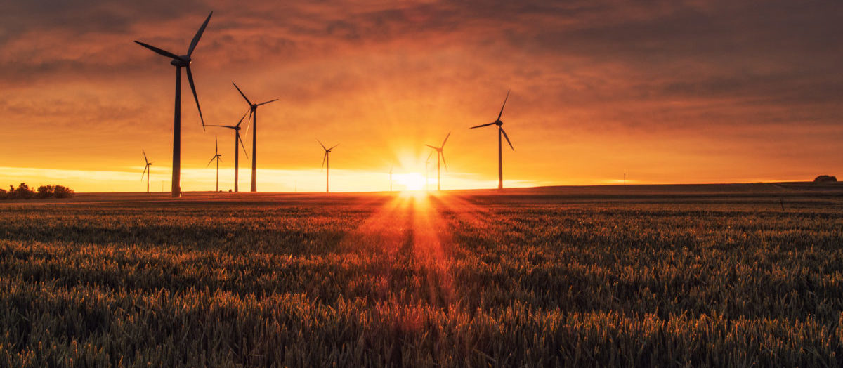 Protecting climate finance – Progress update on the Global Environmental Facility’s anti-corruption policies and practices