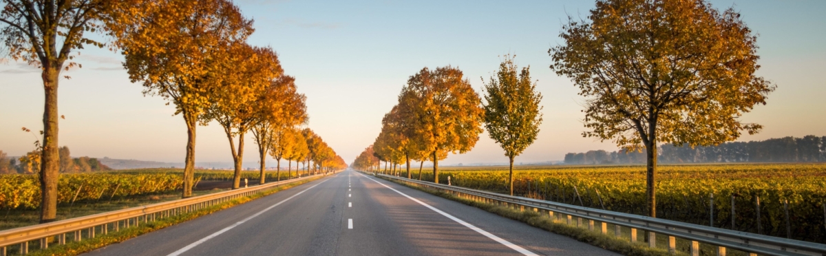 Michiel van Hulten joins Transparency International as Director of EU office