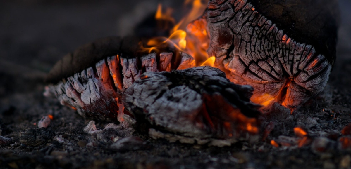 Crisis? What crisis?