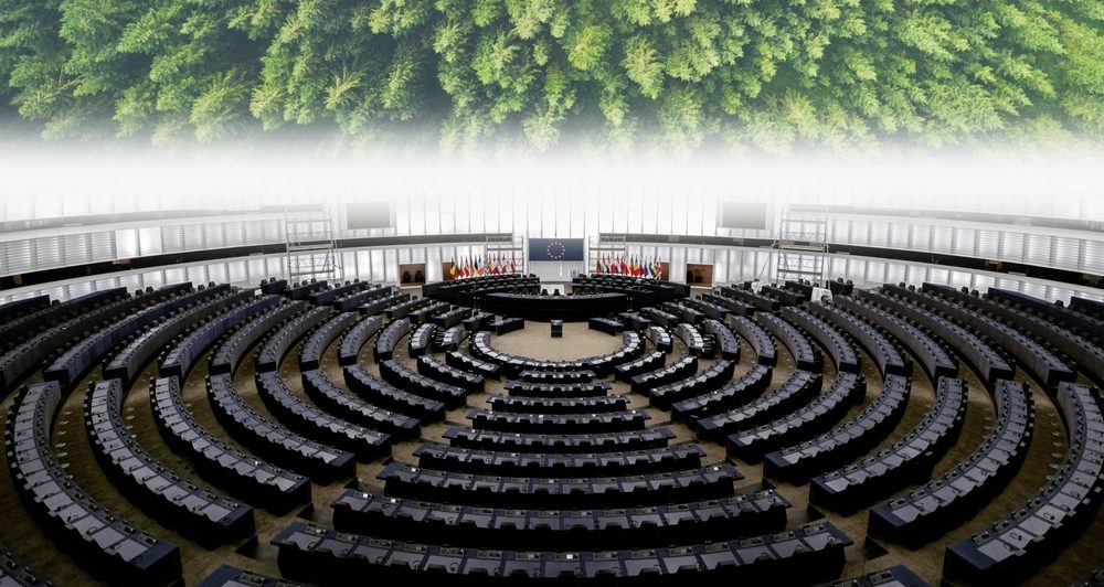 Green Deal in Peril: Shadows of Influence on EU Climate Policies