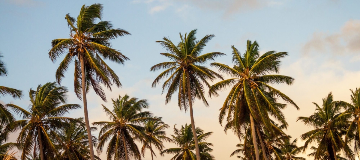 EU tax haven blacklist needs transparency to succeed