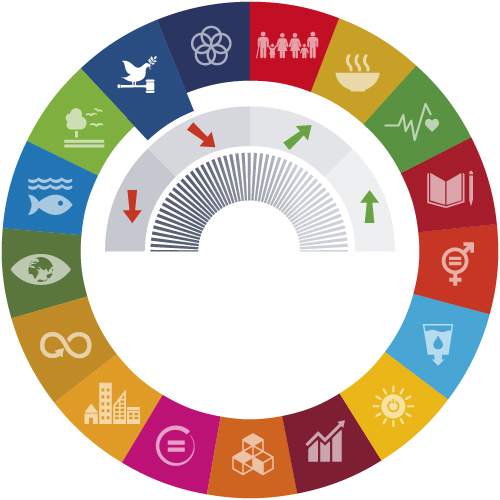 SDGs progress report:  A partial truth