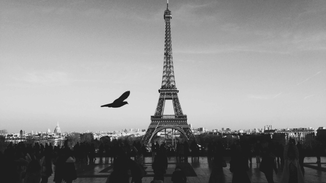 French MPs earn €20m from side jobs – Integrity Watch France database launched