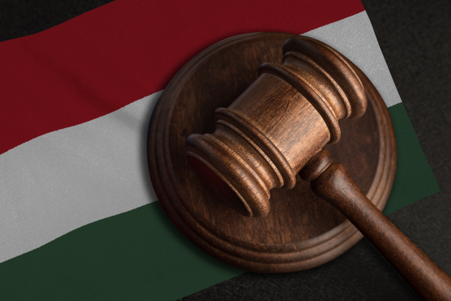 Call for France to Defend Civic Freedoms by Joining the CJEU Case Against Hungary’s Sovereignty Law